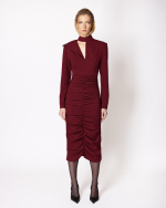 FW-060 | FITTED MIDI DRESS WITH RUCHING - Image 4